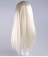 Evil Bride II Adult Women's Wig